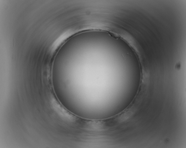 X0000114130952200910151542