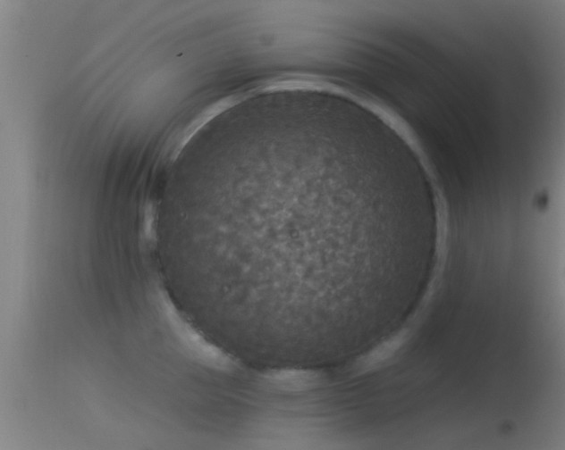 X0000114130953200910151542