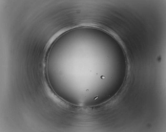 X0000114130955200910151542