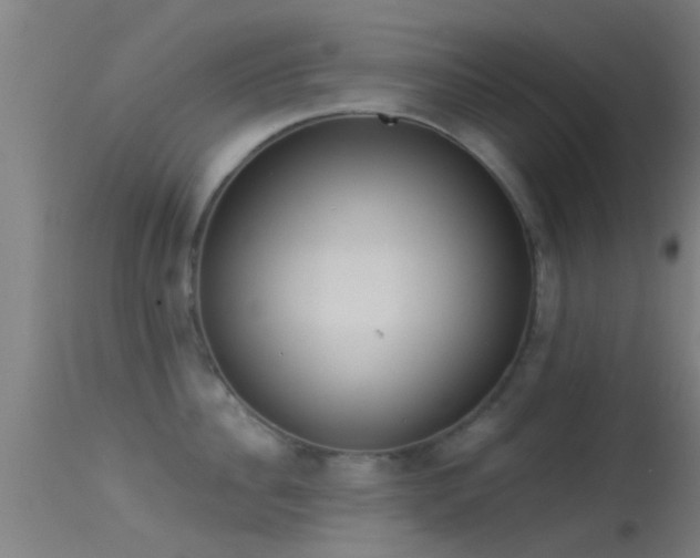 X0000114130956200910151542