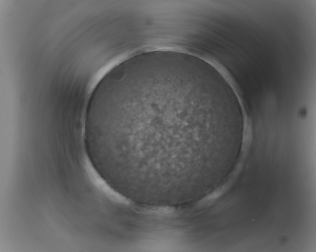 X0000114130957200910151542