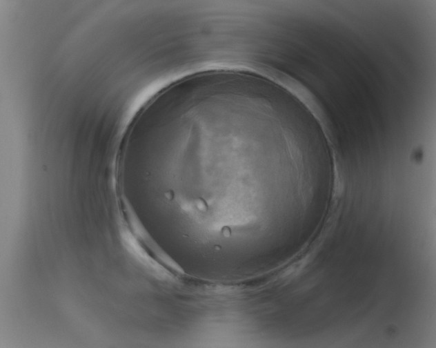 X0000114130958200910151542