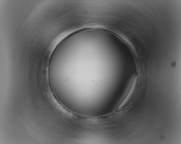 X0000114130959200910151542