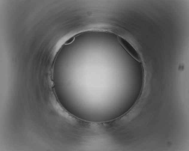 X0000114130960200910151542