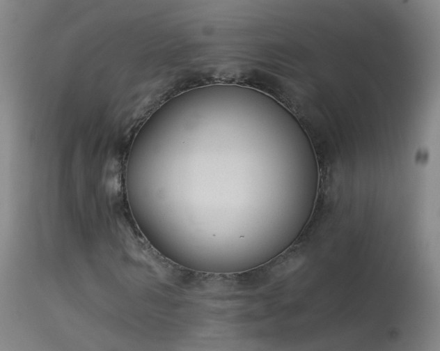 X0000114130962200910151541