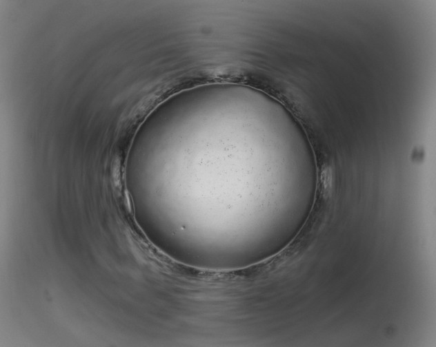 X0000114130963200910151541