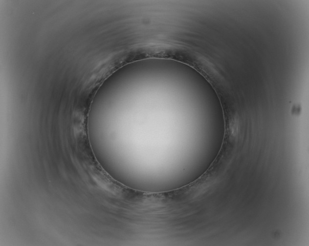 X0000114130964200910151541