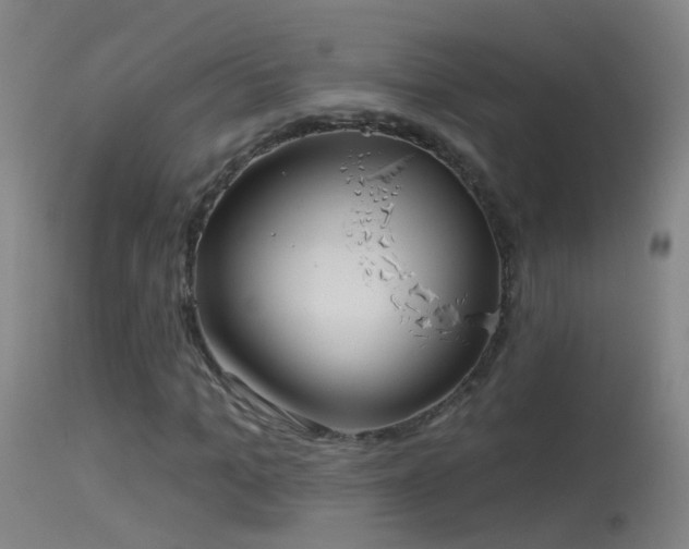 X0000114130965200910151541