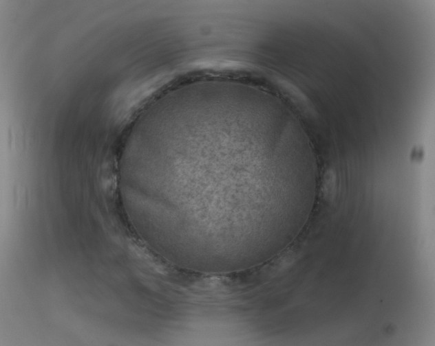 X0000114130966200910151541