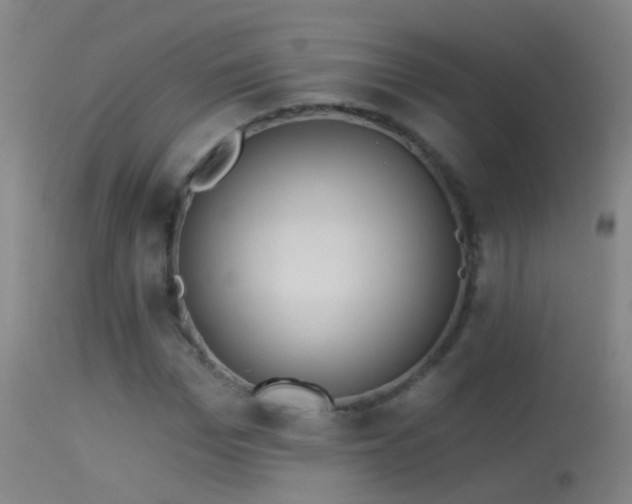 X0000114130969200910151541