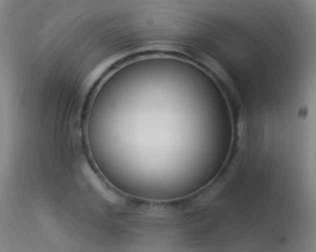 X0000114130972200910151541