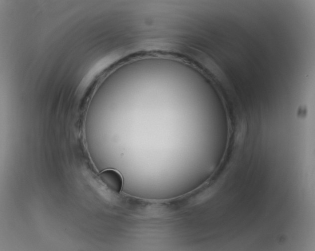 X0000114130974200910151541