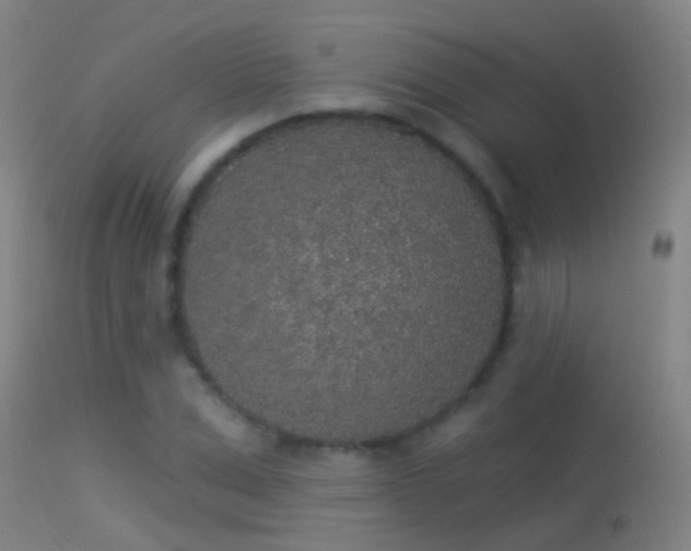 X0000114130975200910151541