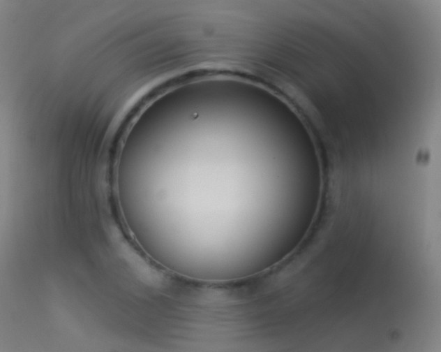 X0000114130976200910151541