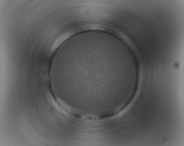 X0000114130977200910151541