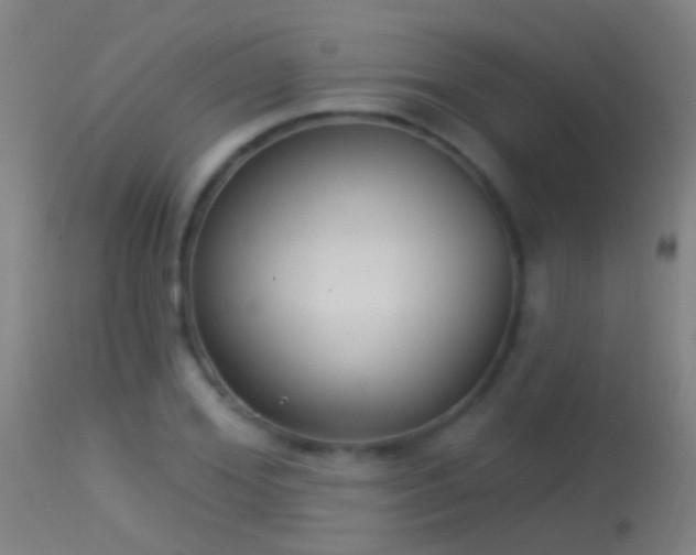 X0000114130980200910151541