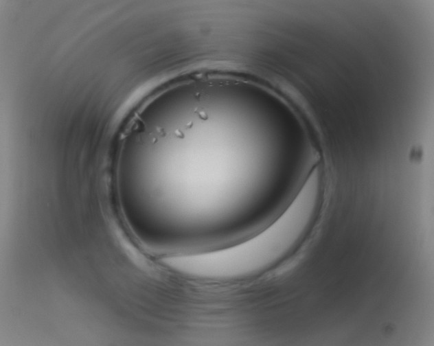 X0000114130981200910151541