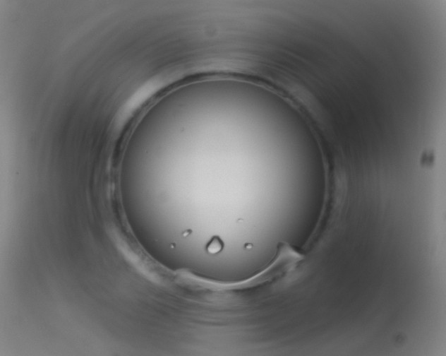 X0000114130982200910151541