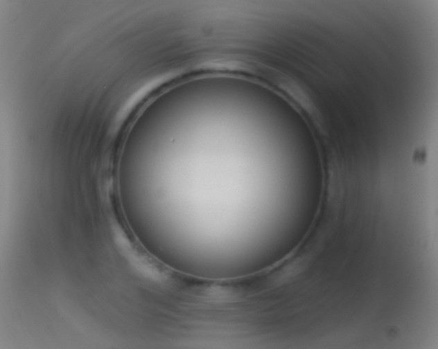 X0000114130984200910151541