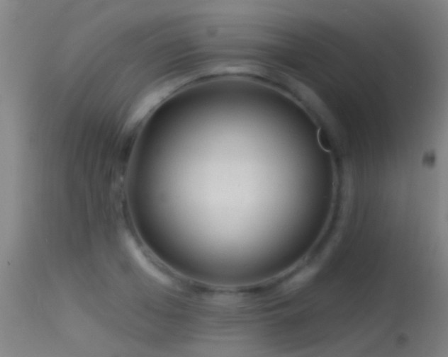 X0000114130985200910151541