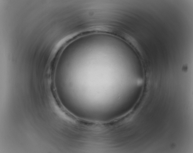 X0000114130987200910151541