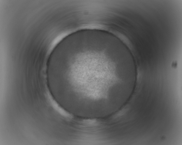 X0000114130990200910151541