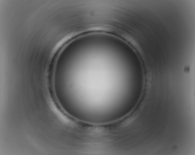 X0000114130991200910151541