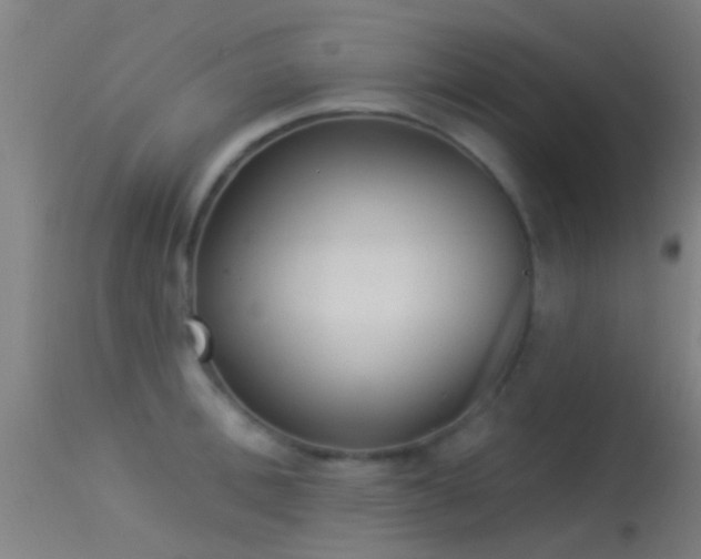 X0000114130996200910151541