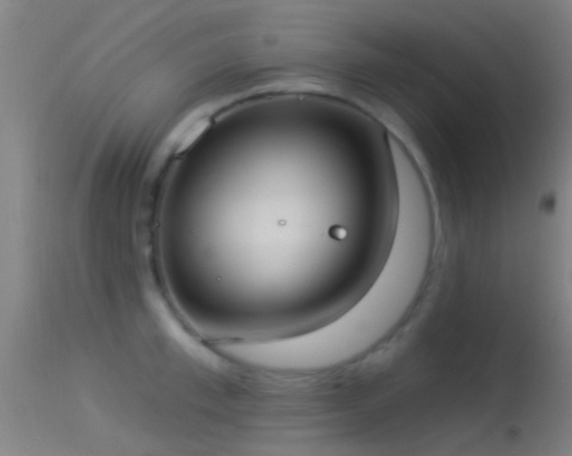 X0000114130997200910151541