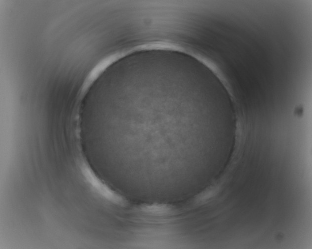 X0000114130998200910151541