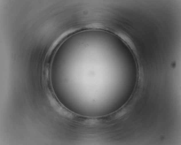 X0000114131000200910151541