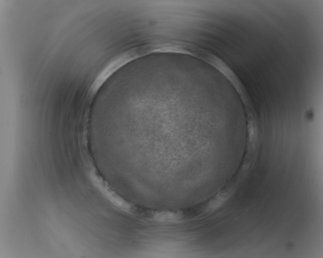 X0000114131002200910151541