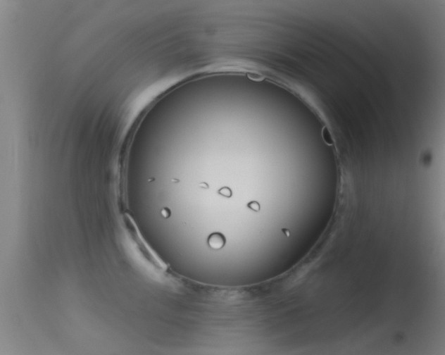 X0000114131003200910151541