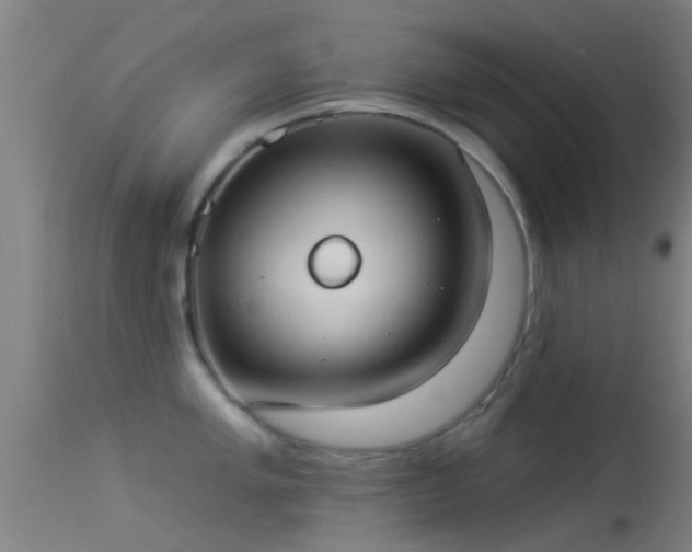 X0000114131005200910151540