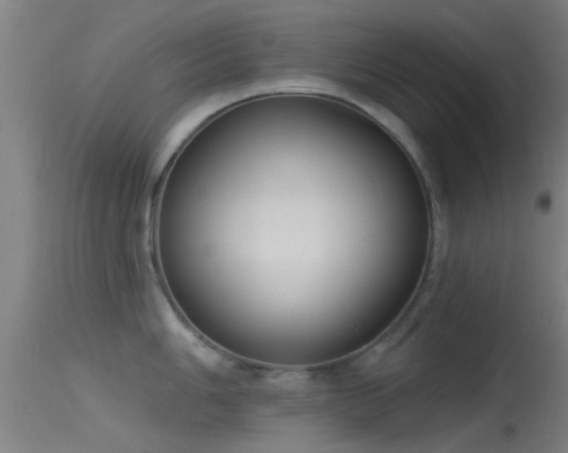 X0000114131006200910151540