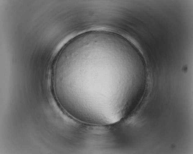 X0000114131007200910151540