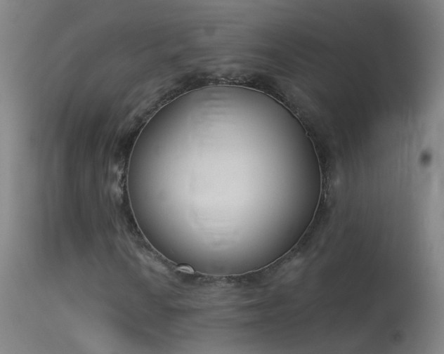 X0000114131010200910151540