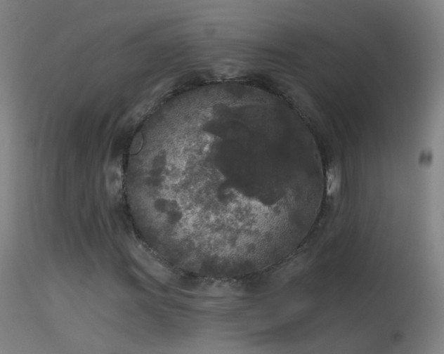 X0000114131011200910151540