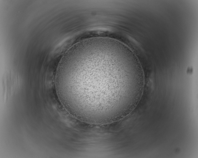 X0000114131014200910151540