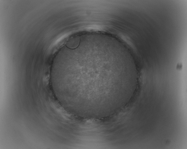 X0000114131015200910151540