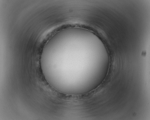 X0000114131016200910151540