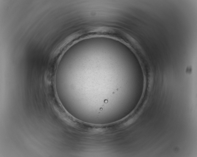 X0000114131017200910151540