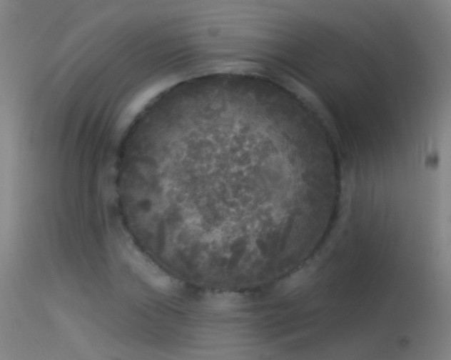 X0000114131019200910151540