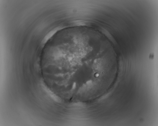 X0000114131023200910151540