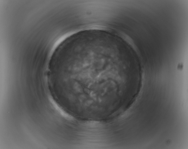 X0000114131024200910151540