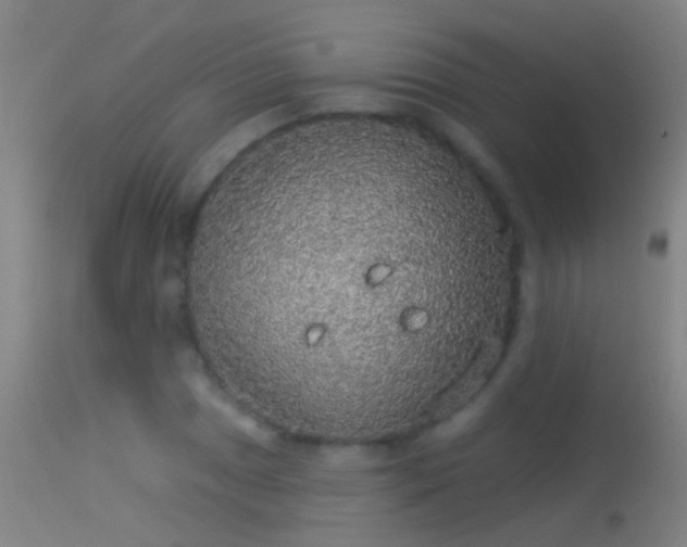 X0000114131025200910151540