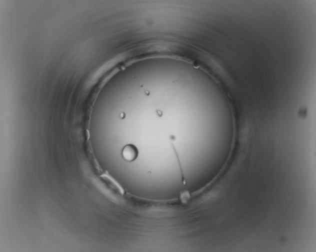 X0000114131026200910151540