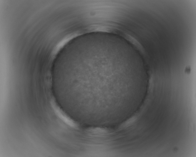 X0000114131027200910151540