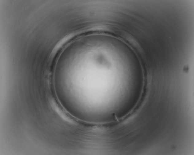 X0000114131029200910151540