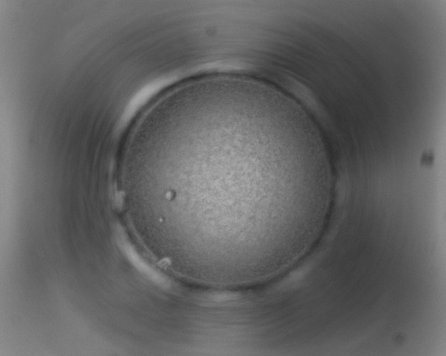 X0000114131030200910151540